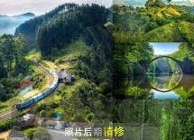 足球世界杯身价-足球世界杯，身价背后的故事